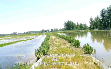 永春稻虾基地